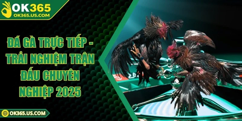 Đá Gà Trực Tiếp